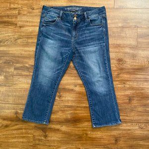 American Eagle Super Super Stretch Artist Crop Jeans
